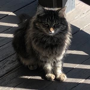 Meet your Posher, Isabelle